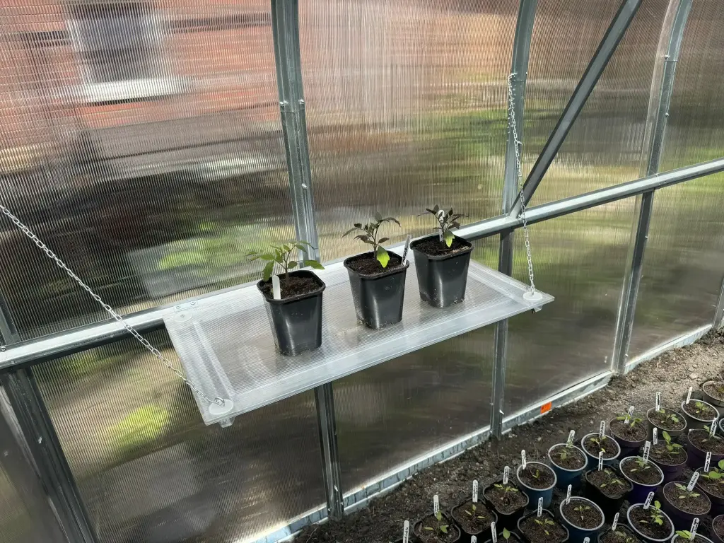 Greenhouse shelf