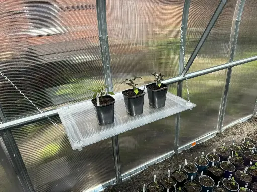 [VG24Z000500] Greenhouse shelf
